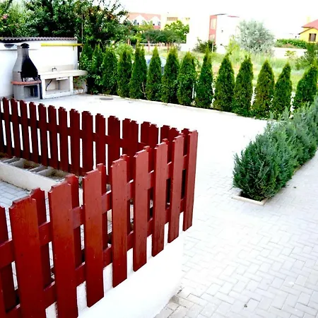 Oasis *